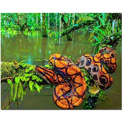 Abbildung von Diamant Painting Bilder Voll Kits Boa Python Schlange DIY 5D Malerei Erwachsene/Kinder Kreuzstich Stickerei Kristall Strass Diamond für Home Wall Decor Geschenk