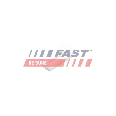 Abbildung von FAST FT96603 Clip, Zier /Schutzleiste PEUGEOT: Boxer Kastenwagen, Bus, FIAT: Ducato III Bus