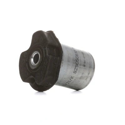 Abbildung von FAG 829 0506 10 Achslager RENAULT: CLIO 2, TWINGO 2