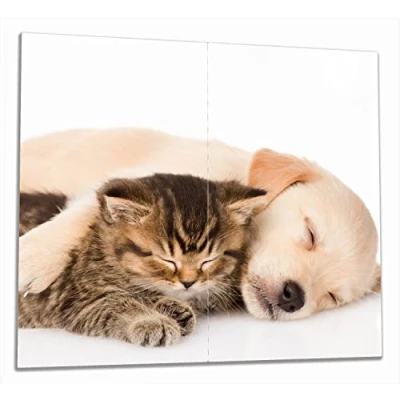 Abbildung von Wallario Herdabdeckplatte/Spritzschutz aus Glas, 2 teilig, 60x52cm, für Ceran und Induktionsherde, Katze Hund in Harmonie Kuschelnde Tiere