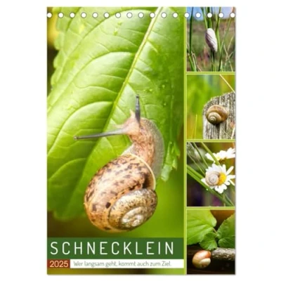 Abbildung von Schnecklein (Tischkalender 2025 DIN A5 hoch), CALVENDO Monatskalender