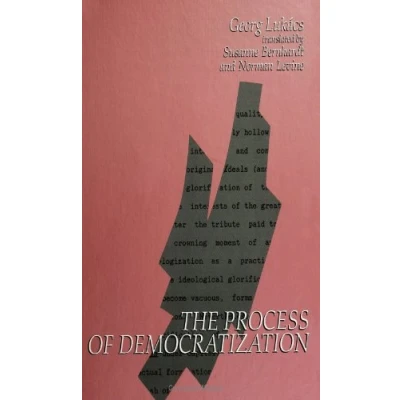 Abbildung von The Process of Democratization (SUNY Series in Contemporary Continental Philosophy)
