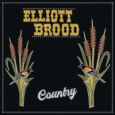 Abbildung von Country [Vinyl LP]