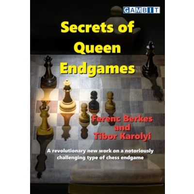 Abbildung von Secrets of Queen Endgames (Secrets Chess Endings)