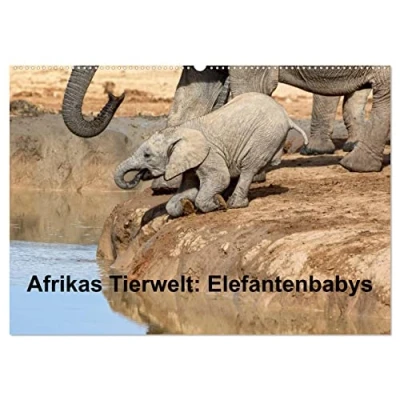 Abbildung von Afrikas Tierwelt: Elefantenbabys (Wandkalender 2025 DIN A2 quer), CALVENDO Monatskalender