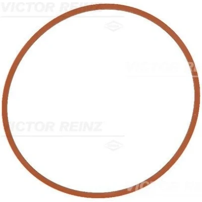 Abbildung von REINZ 71 17146 00 Ansaugkrümmerdichtung FPM (Fluor Kautschuk) FORD: Grand C Max