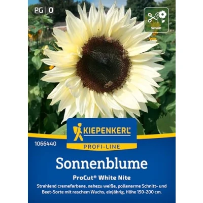 Abbildung von Kiepenkerl Profi Line Sonnenblumensamen ProCut® White Nite 1066440 Nahezu weiße, einjährige und pollenarme Schnitt &amp; Beetsorte Wildblumensamen, Blumenwiese