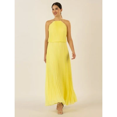 Abbildung von Apart Plissee Maxikleid, Damen, Größe: 44, Vanilla