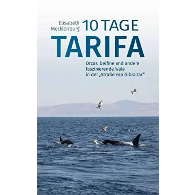 Abbildung von 10 Tage Tarifa: Orcas, Delfine und andere faszinierende Wale in der &quot;Straße von Gibraltar&quot;
