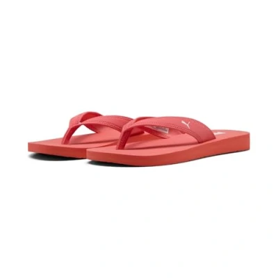 Abbildung von Puma Sandy Flip Flops Damen Mit Plain Peach Frost/White Größe: 40.5