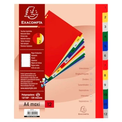Abbildung von Exacompta Ref. 2512E Karton mit 20 Registern aus Polypropylen 12 digital bedruckten von 1 bis in Farbe Indexseite bedruckbar für A4 Maxi Maße 24,5 x 29,7 cm