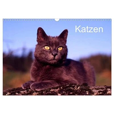 Abbildung von Katzen (Wandkalender 2025 DIN A3 quer), CALVENDO Monatskalender