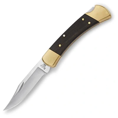 Abbildung von Buck 110 Folding Hunter