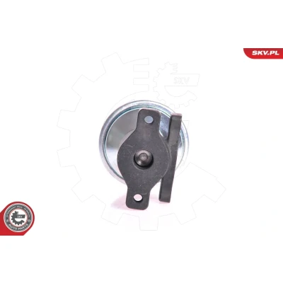 Abbildung von ESEN SKV 14SKV005 AGR Ventile