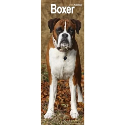 Abbildung von Boxer 2025: Original Avonside Kalender Slimline [Mehrsprachig] [Kalender] (Slimline Kalender)