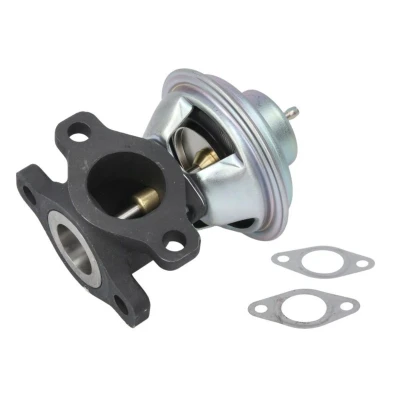 Abbildung von DELPHI EG10623 12B1 AGR Ventil mit Dichtungen, ohne Kühler PEUGEOT: Boxer Kastenwagen, Pritsche/Fahrgestell, CITROËN: Jumper I Kastenwagen