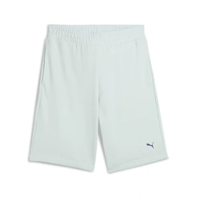 Abbildung von Puma Essentials 2 Colour No. 1 Logo 10&quot;Shorts Herren Mit Print Peaceful Blue Größe: L