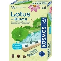 Abbildung von Kosmos Experimentierkasten Lotusblume, Made in Germany