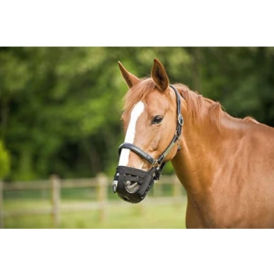 Abbildung von Norton Grasmaske Nylon Schwarz Warmblut