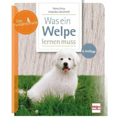 Abbildung von Was ein Welpe lernen muss (Die Hundeschule)