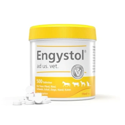 Abbildung von Engystol ad Us.vet.tabletten 500 St