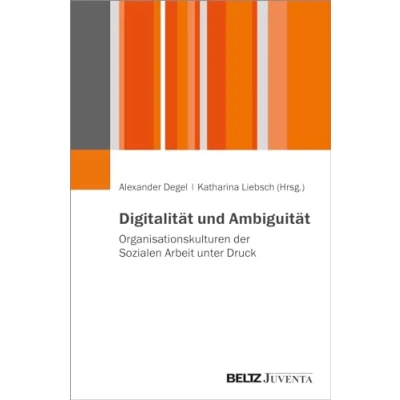 Abbildung von Digitalität und Ambiguität: Organisationskulturen der Sozialen Arbeit unter Druck