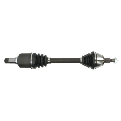 Abbildung von Antriebswelle PASCAL G2M016PC