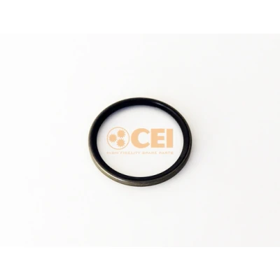Abbildung von CEI 189.738 Dichtring