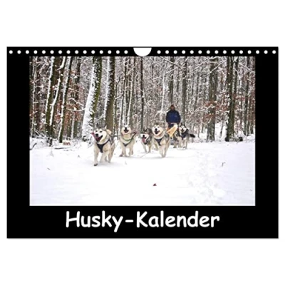 Abbildung von Husky Kalender (Wandkalender 2025 DIN A4 quer), CALVENDO Monatskalender