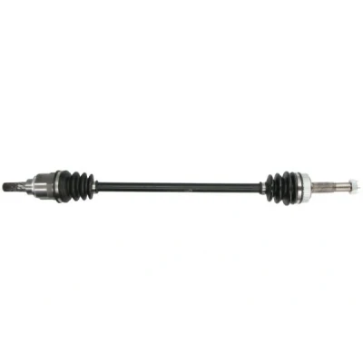 Abbildung von Antriebswelle PASCAL G21034PC