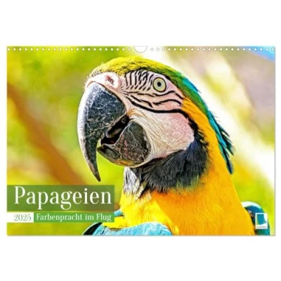 Abbildung von Papageien: Farbenpracht im Flug (Wandkalender 2025 DIN A3 quer), CALVENDO Monatskalender