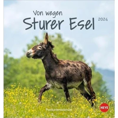 Abbildung von Esel Von wegen sturer Postkartenkalender 2024. Kleiner Kalender zum Aufstellen und Aufhängen im Postkartenformat. Monats Tischkalender für Tierfreunde.: