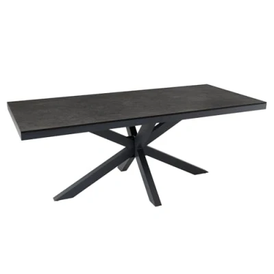 Abbildung von riess ambiente Gartentisch GALAXIE 200cm anthrazit (Einzelartikel, 1 St), Outdoor · Keramik Aluminium Terrasse wetterfest Modern Design