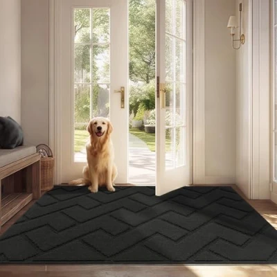 Abbildung von Biscpro Fußmatte Dunkelgrau 80x120cm Innen und Außen, Waschbar Fussmatt, Wasserdicht Türmatte, Rutschfester Schmutzfänger Teppich für Eingang, Haustür, Patio, Flur