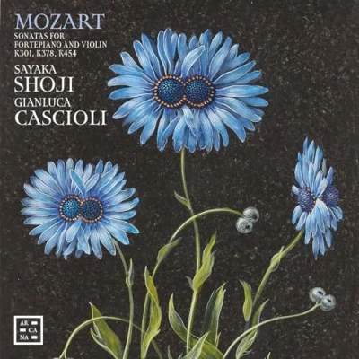 Abbildung von Mozart: Sonaten für Fortepiano und Violine K301, K378, K454