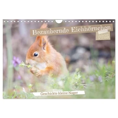 Abbildung von Bezaubernde Eichhörnchen (Wandkalender 2025 DIN A4 quer), CALVENDO Monatskalender