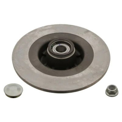 Abbildung von FEBI BILSTEIN 28156 Bremsscheibe Hinterachse 274 11 4 100 voll geölt mit ABS Sensorring, Fettkappe RENAULT: SCENIC 2, GRAND 2