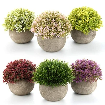 Abbildung von T4U Künstliche Sukkulenten im Topf, Mini gefälschte bunte lebensechte Blumen in Töpfen für Zuhause, Kunstpflanze, Künstlich, Desktop Fensterbank, Büro, Hochzeitsdekoration, 6er Set