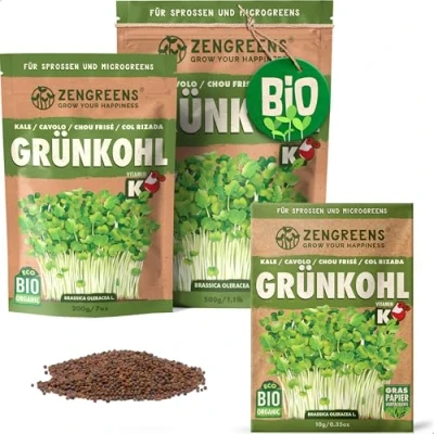 Abbildung von ZenGreens® Bio Grühnkohl Sprossen Samen Wähle zwischen 10g, 200g und 500g Saatgut Keimrate von über 95% Sprossensamen zum Keimsprossen ziehen Microgreens
