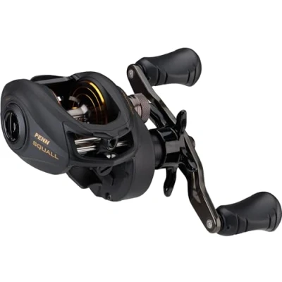 Abbildung von Penn Squall® Low Profile Baitcaster Rolle LH 300 Multirolle