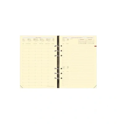 Abbildung von QUO VADIS Recharge 2011/2012 pour agenda Timer 21 Prestige