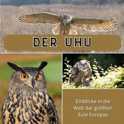 Abbildung von der Uhu: Einblicke in die Welt größten Eule Europas