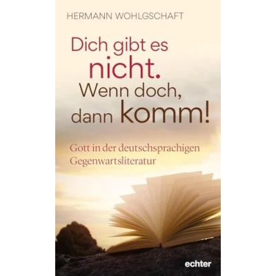 Abbildung von Dich gibt es nicht. Wenn doch, dann komm!: Gott in der deutschsprachigen Gegenwartsliteratur