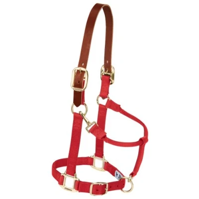 Abbildung von Weaver Leather Halfter für Pferde, Nylon, verstellbar, Größe L, Rot