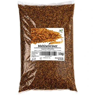 Abbildung von UGF Premium Mehlwürmer 6,5 Liter 1kg, Insektensnack für Vögel, Hamster, Igel, Nagetiere, Eidechsen, Schildkröten Universalfutter