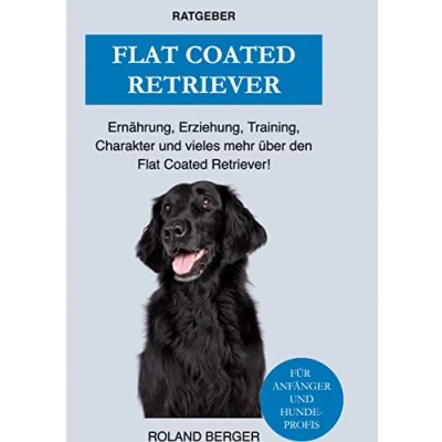 Abbildung von Flat Coated Retriever: Charakter, Training, Ernährung, Erziehung und vieles mehr über den Retriever