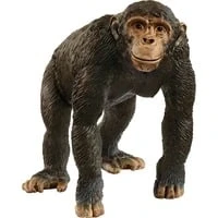 Abbildung von Schleich® Spielfigur WILD LIFE, Schimpanse (14883)