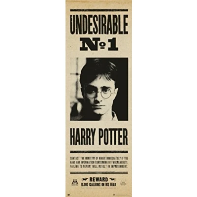 Abbildung von Grupo Erik Editores Harry Potter Undesirable Nº1 Tür Poster