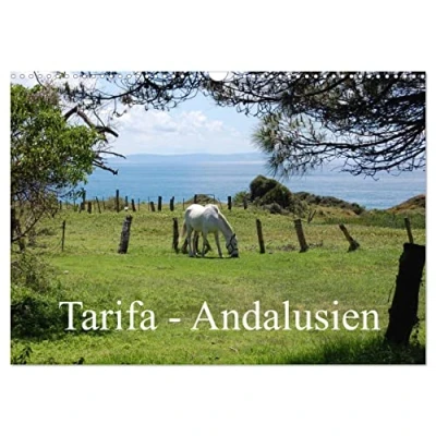 Abbildung von Tarifa Andalusien (Wandkalender 2025 DIN A3 quer), CALVENDO Monatskalender