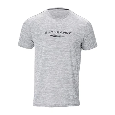 Abbildung von Endurance Tshirt print, Herren, Größe: Small, Mid grey melange